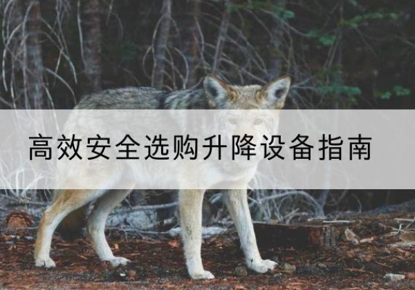太仓升降货梯厂家推荐-*安全选购升降设备指南