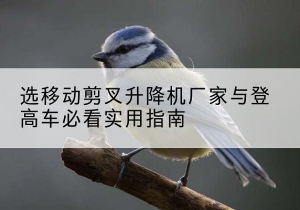 太仓电动升降机厂家-选移动剪叉升降机厂家与登高车必看实用指南